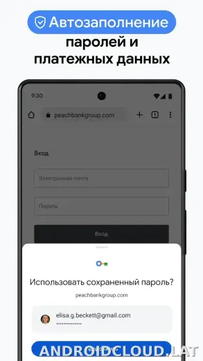 Google Chrome скриншот 6